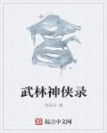 武林侠情
