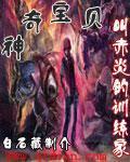 神奇宝贝赤神