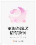 沧海情仇演员表