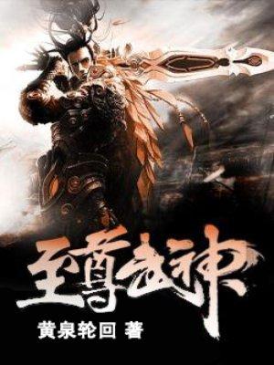 至尊武神叶辰