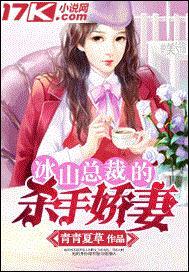 冰山总裁的终极高手