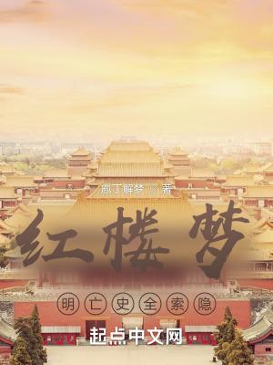 红楼梦 明朝历史