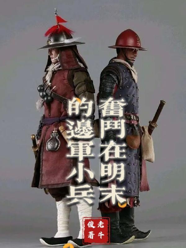 奋斗在明末的边军小兵书海阁