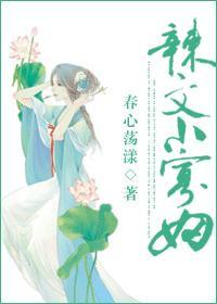 辣文小寡妇TXT