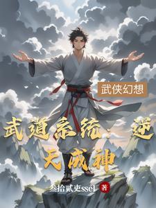 武道系统流