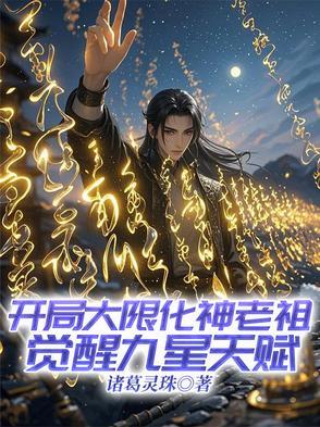 开局选择大限圣人顶点