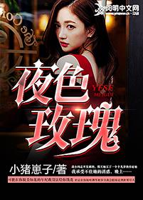 夜色玫瑰视频
