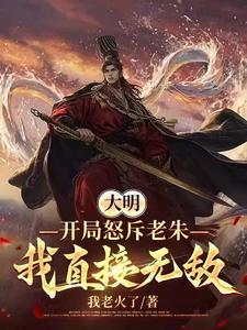 大明将领