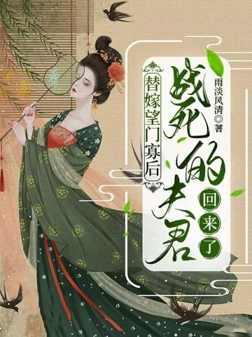 夫人只需守寡