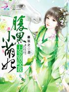 腹黑王爷小小妃