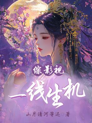 综影视一缕清风晋江