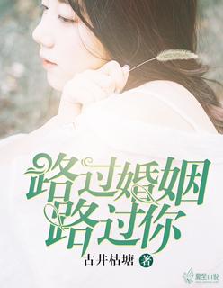 路过婚姻爱过你全文南祁唐茶