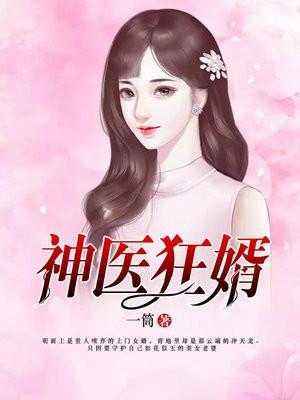 神医狂婿叶凡