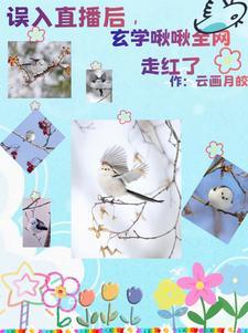 小金乌续写