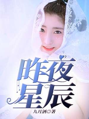 昨夜星辰电视剧免费观看