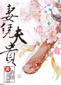 妻凭夫贵txt全文 番外