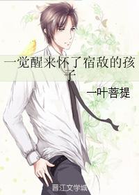 一觉醒来怀了宿敌的孩子作者一叶菩提