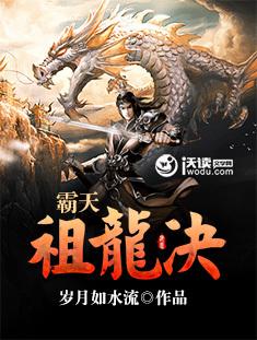 霸天龙帝简介