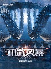 机动风暴手游