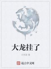大龙挂了笔趣阁免费阅读