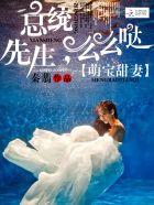总统大人的萌宝甜妻