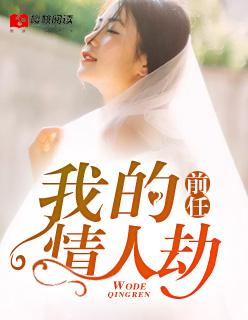 前任情节什么意思