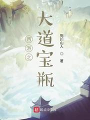 西游之大道宝瓶 宛川山人 著