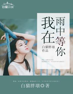 我在雨中等你剧情简介