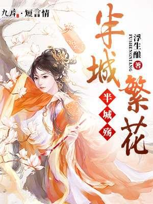 半城繁华半城殇什么意思