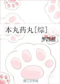 本丸药丸综