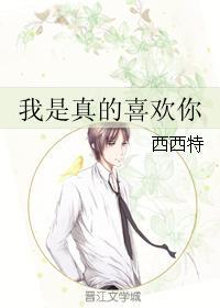 电视剧我是真的爱你