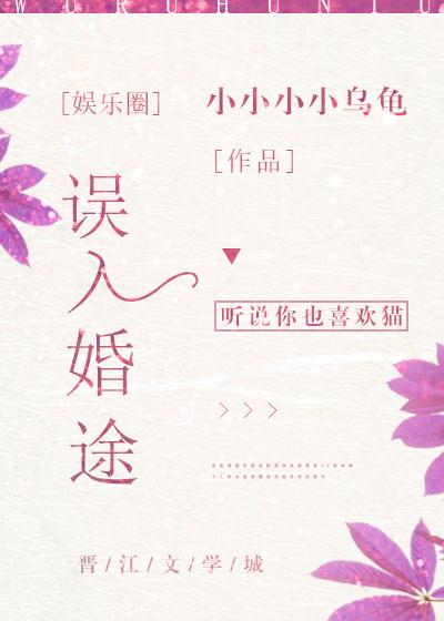 误入藕花深处