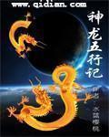 五行神龙之炎龙