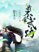 我不会武功笔趣阁无弹窗