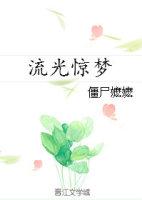 流光惊梦无防盗