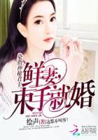 染指免费全文