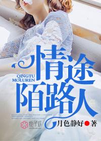 情途陌路人TXT