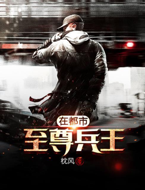 至尊兵王在都市陨落之星