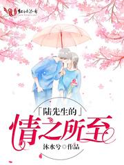 陆先生的情之所至陆辰九