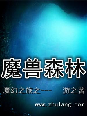 魔幻之旅国语电影免费观看