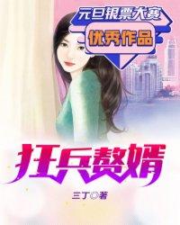 狂兵赘婿顶点