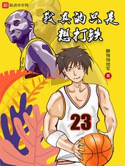 我真的只是想打铁2k