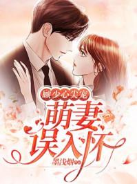 顾少心尖妻顾迟全文免费阅读