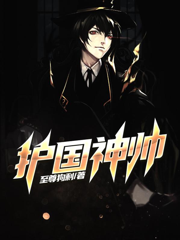 护国神帅 第2章