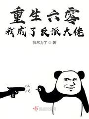 重生六零 我成了反派大佬