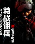佣兵特战队在线观看