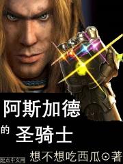 阿斯加德圣骑士