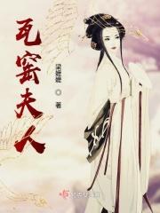瓦窑夫人免费阅读全文