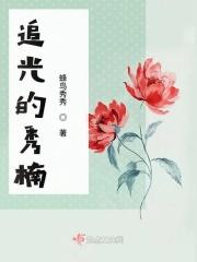 追光原著