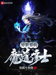 异世之魔道修士有2吗